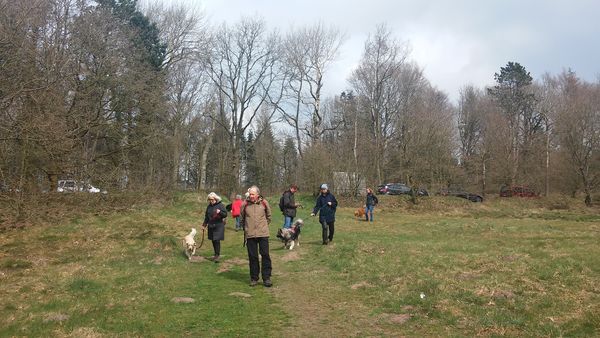 Hundewanderung in Klintum / Langenberger Forst