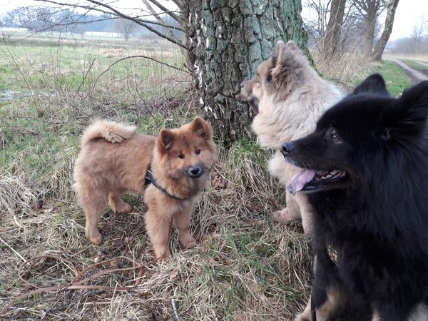 Stella, Raissa und Cuba