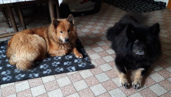 Stella und Cuba