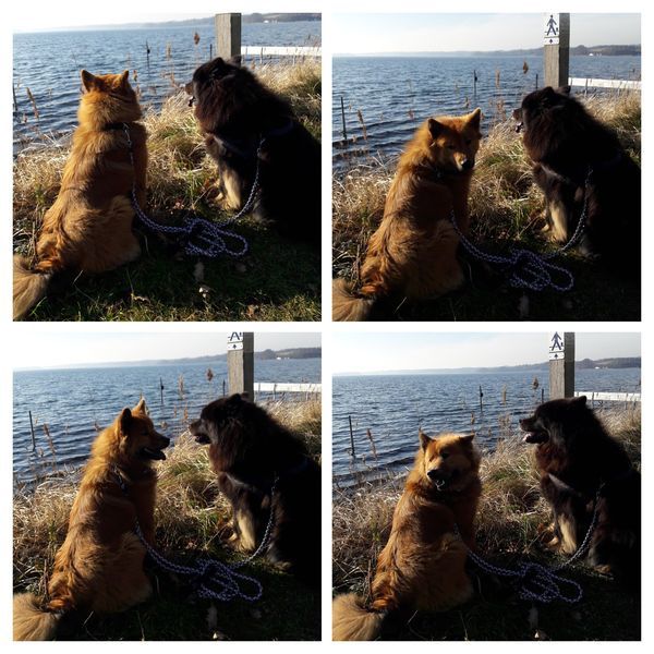 Stella und Cuba