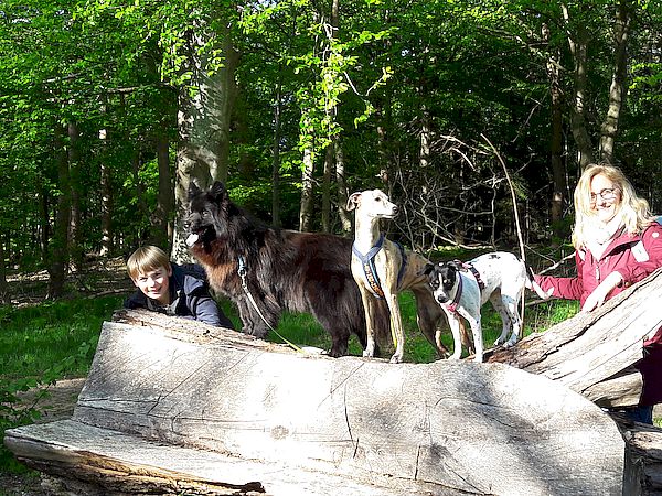 Simon, Piri, Ginger, Bille und Tine