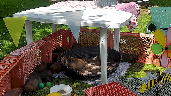 Im Schatten