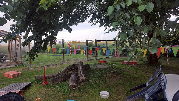 Abendfrieden im Welpengarten