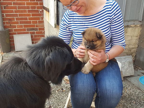 Lucky meets Nuko