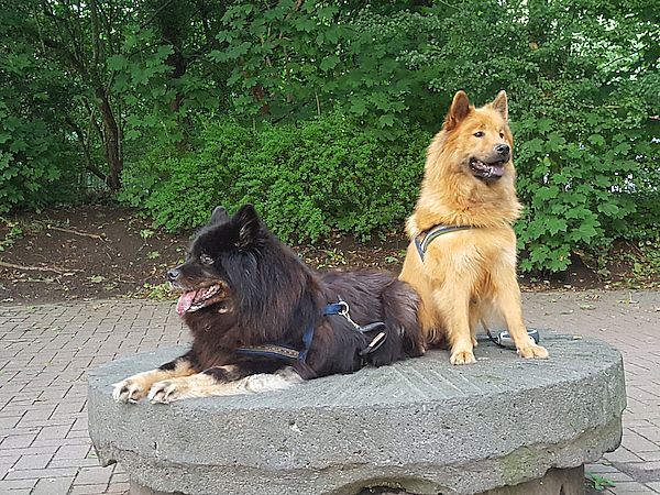 Cuba und Stella