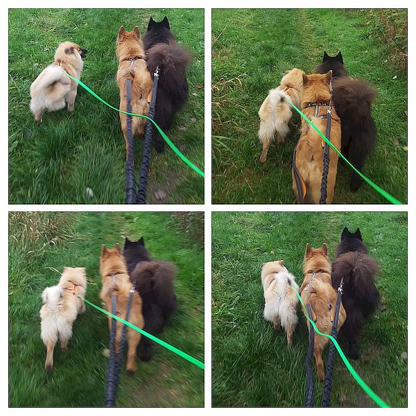 Nayeli, Stella und Piri