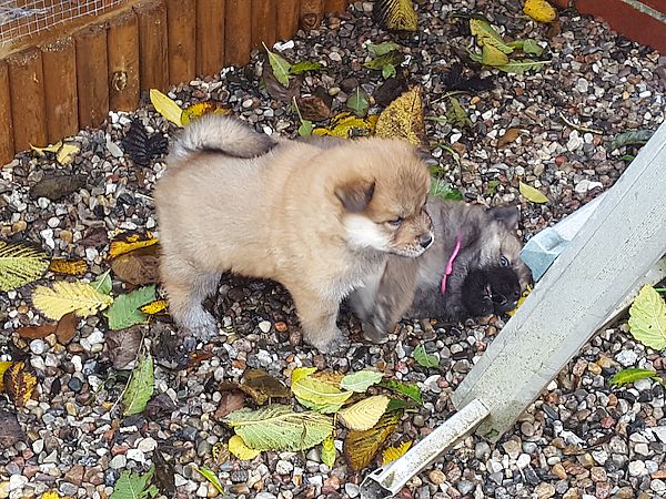 Osa und Nelly