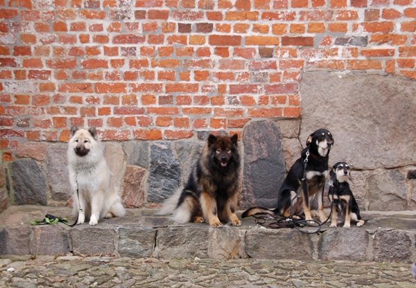 Yelly, Frodo, Sam und Momo
