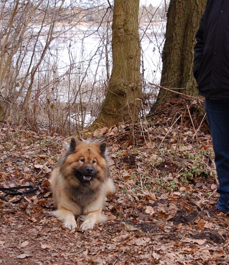 Aslan