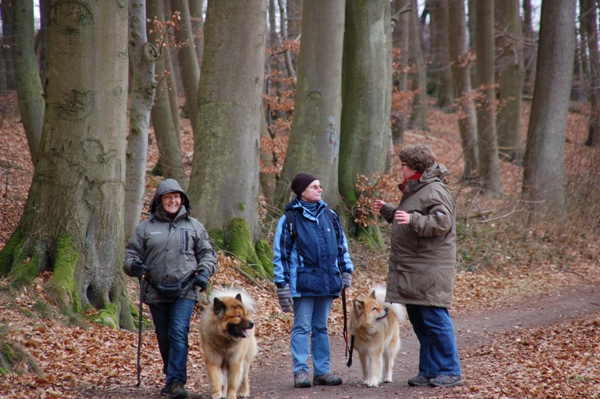 Stephie, Ingeborg und Ulrike