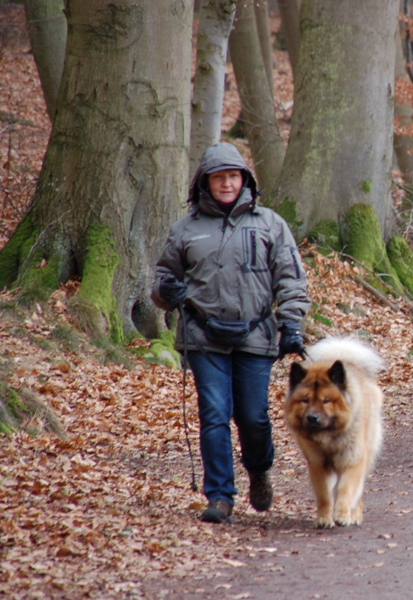 Stephei und Fenris