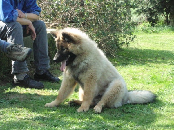 Wotan