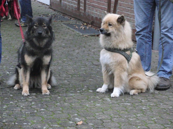 Fenny und Laima warten