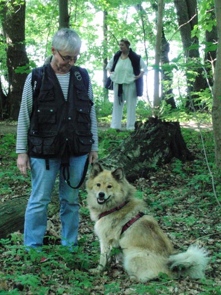 Hundewanderung am 8.6.13