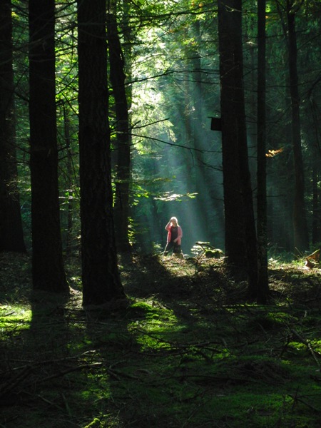 Finnja im Märchenwald