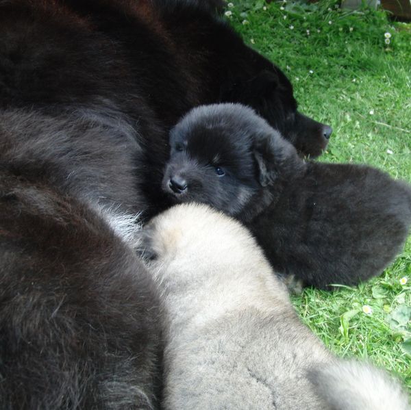Jim