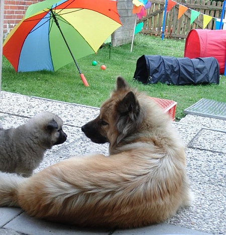 Eywa und Newa