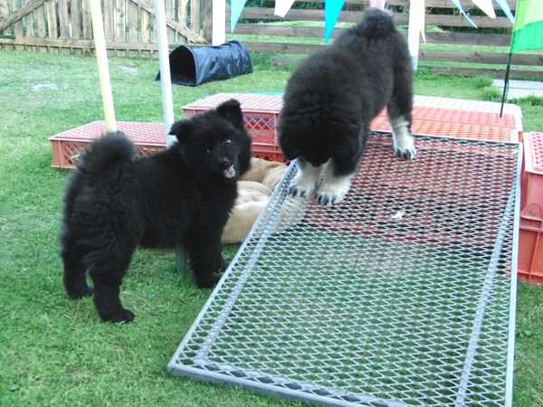 Piri und Jim
