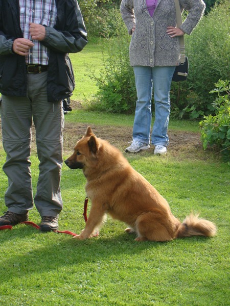 Galina vom braunen Meer