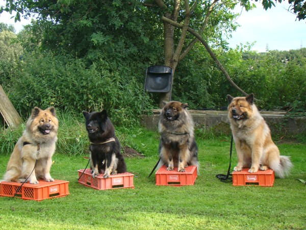 Aslan, Cuba, Freddy, Fenris