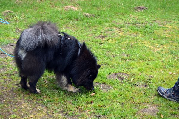 Kosmo