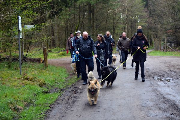Los gehts zum Hundewald,