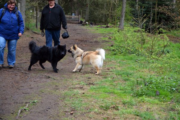 Koda und Kouba