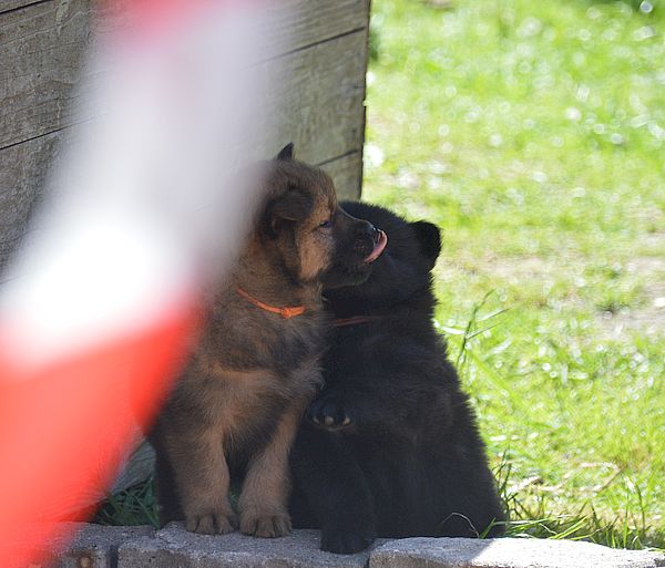 Nianyo und Nika