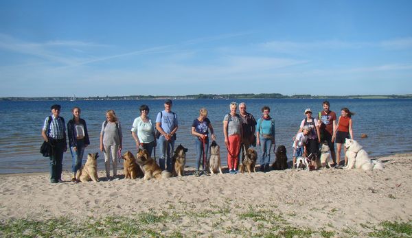 Eurasierspaziergang in Holnis am 17.6.17