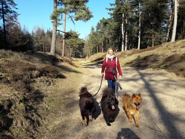 Mit Tine im Langenberger Forst