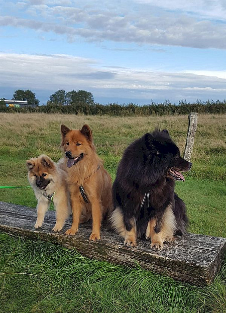 Nayeli, Stella und Cuba