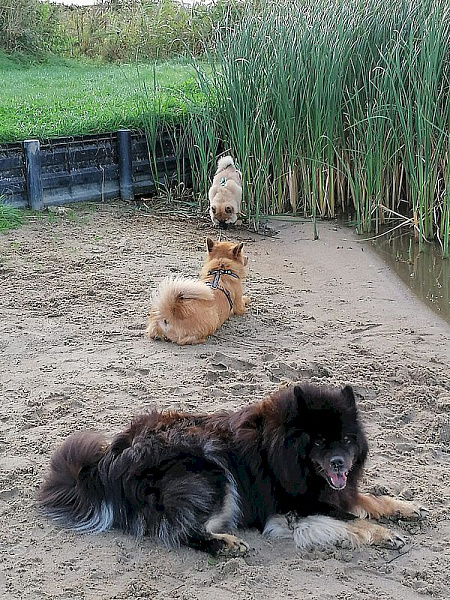 Nayeli, Stella und Cuba