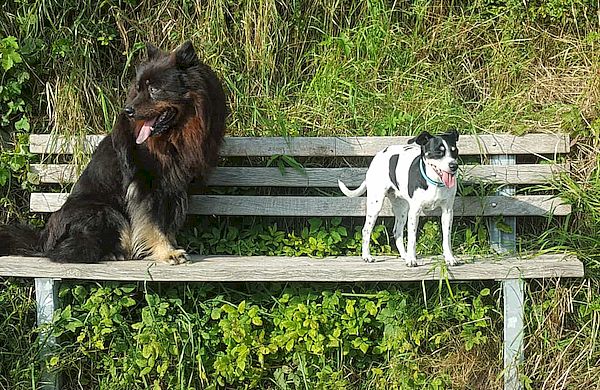Tante Bille und Großonkel Teddy
