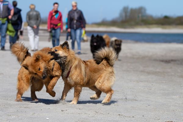 Stella und Naaja