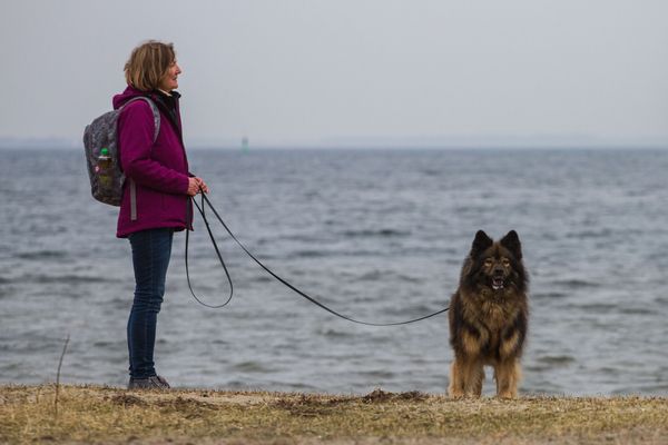 Ilona und Davinci