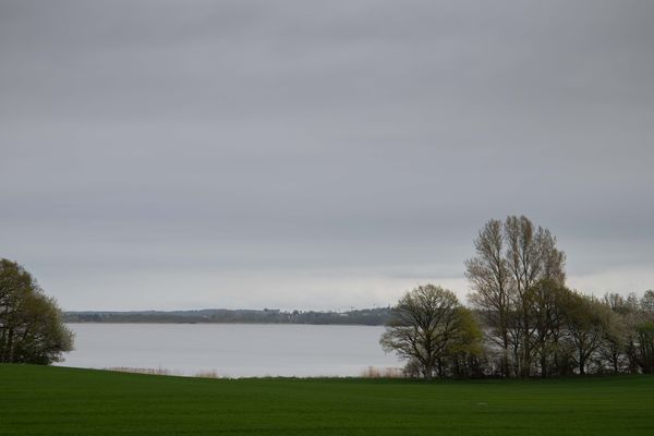 Blick über das Windebyer Noor