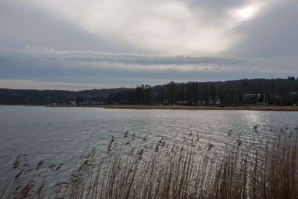 Die Förde