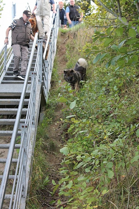 Alternative Lösung zur steilen Treppe