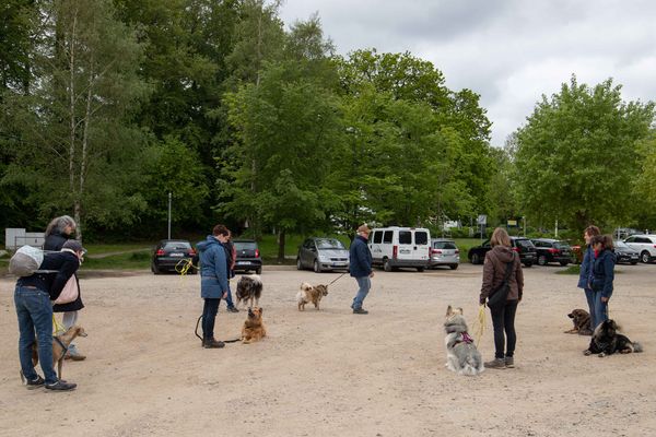 M-Wurftreffen in Hohwacht am 25.05.19