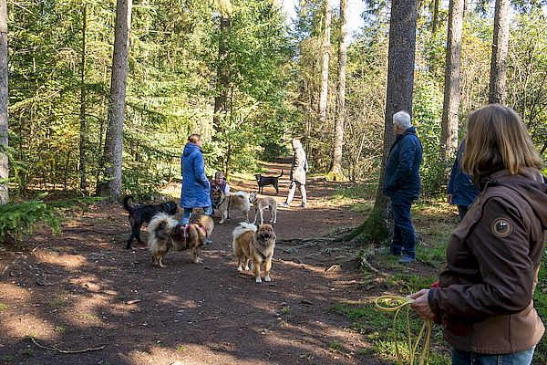 M-Treffen im Trappenkamper Hundewald