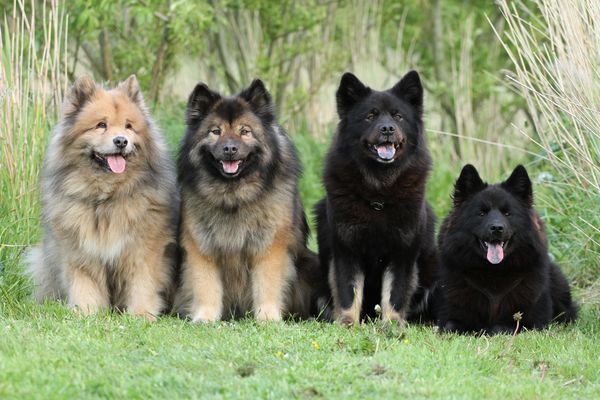 Wanja, Lenka, Cuba und Piri