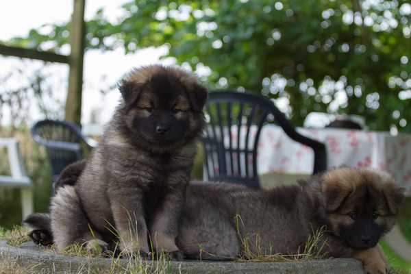 Lia und Lotta
