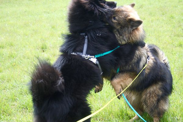 Lima und Luca