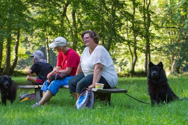 Picknick 