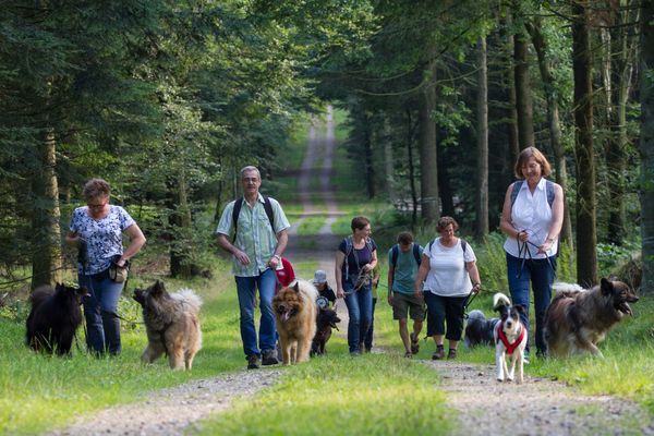 Stephie hat selbstgebackene Hundekekse mit