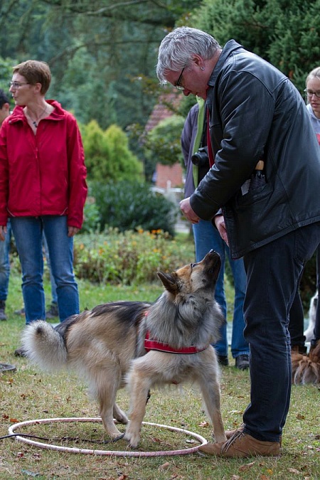 Riekendahl's Keiko (Patsy) mit Wolfgang