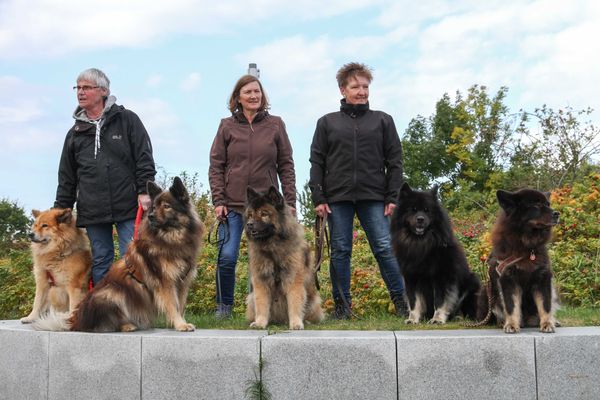 Dina, Davinci, Lenka, Inouk und Cuba