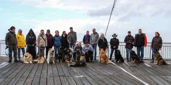 18 Eurasier