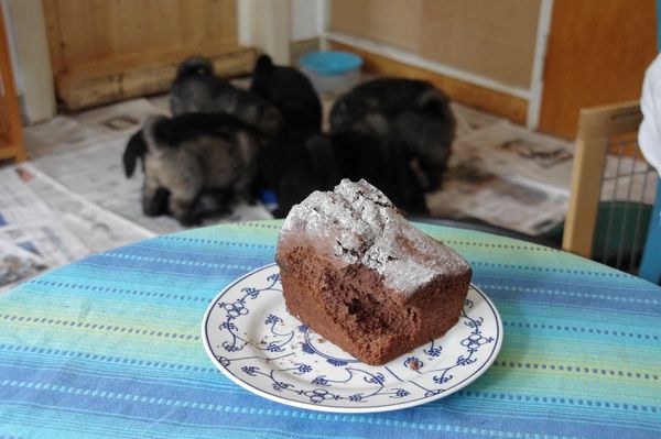 Der angebissene Mohrenkuchen