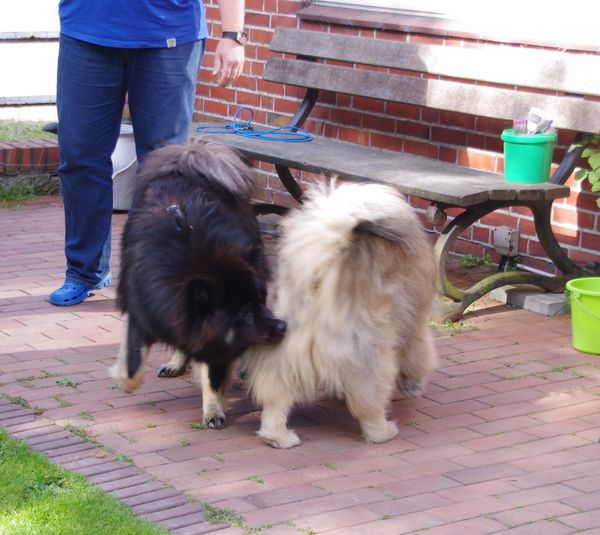 Kosmo und Wanja 
